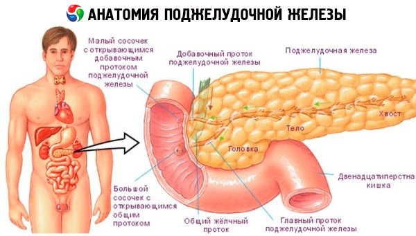 modificări difuze în tratamentul glandei prostatei)