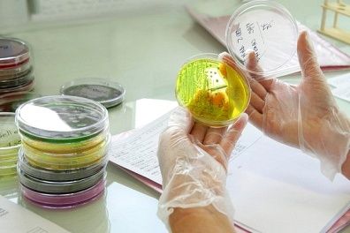 bacteriolog