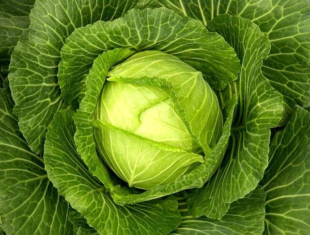 Cele mai bune produse pentru slăbit și frumusețe