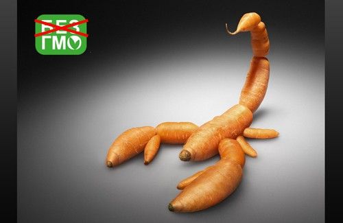 De ce nu vrea America să renunțe la alimentele modificate genetic?
