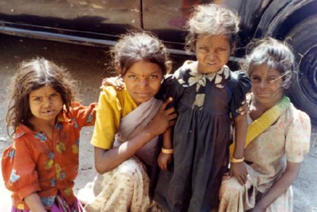 India este lider în răspândirea bolilor animale