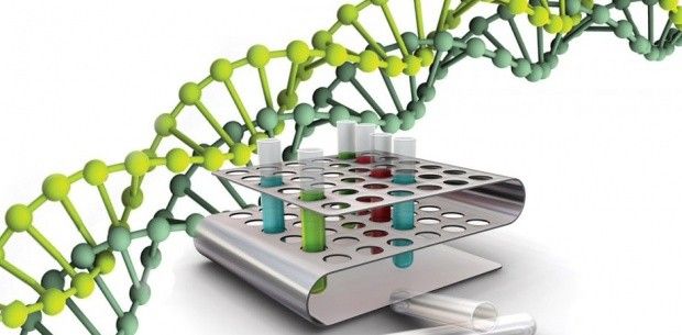 Cromozomii artificiali vor ajuta la combaterea bolilor ereditare
