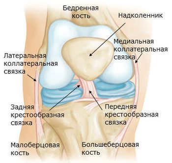 deteriorarea ligamentului cruciat al genunchiului 3 grade