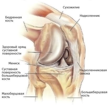 Artroplastia genunchiului