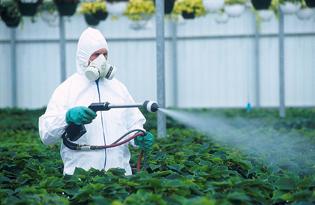 Nanopesticide: o nouă soluție sau o nouă amenințare?