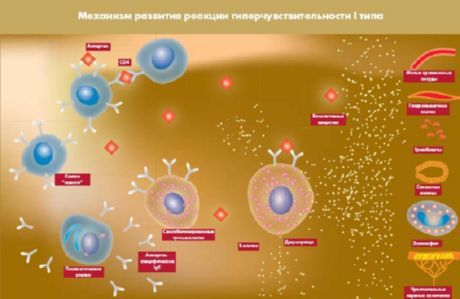 Proteină descoperită care va deveni o nouă țintă pentru tratarea diabetului