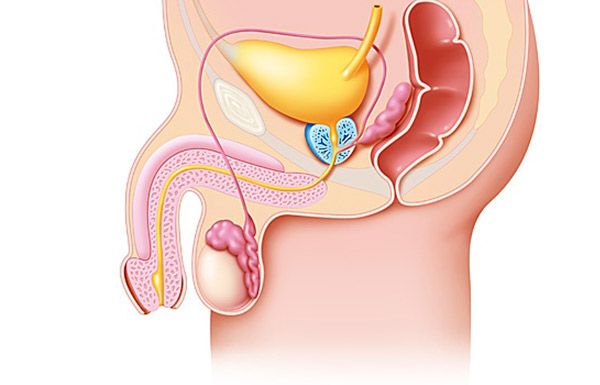 stadiul inițial al adenomului de prostată)