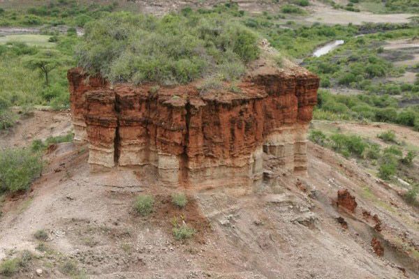 Schimbările climatice drastice au influențat evoluția umană