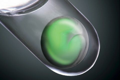 Retină crescută din celule stem embrionare umane