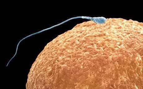 Primul contraceptiv masculin ar fi putut fi descoperit