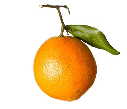 Top 10 alimente pentru o piele strălucitoare și sănătoasă