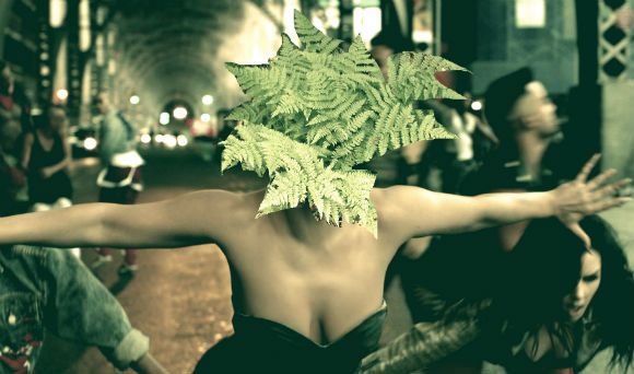 Fern numită după Lady Gaga
