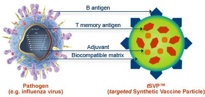 A fost creat un vaccin sintetic complex bazat pe molecule de ADN