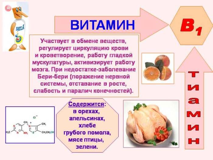 Proprietățile vitaminei B1