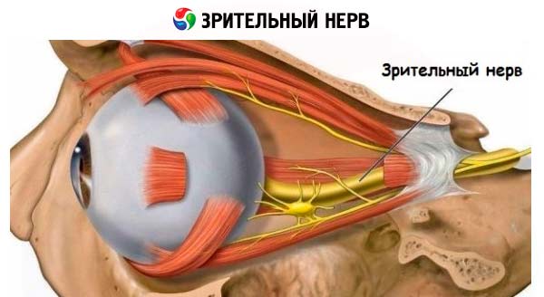 scăderea acuității vizuale a nervului optic